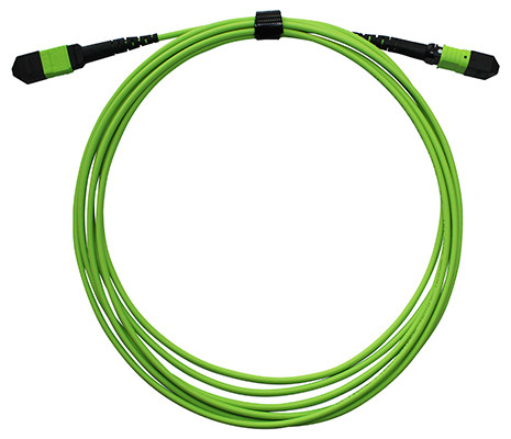 Cable a fibra ottica MPO MTP a 24 fibre multi-mode in verde calce