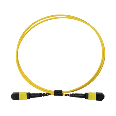 Plenum OFNP MPO Patch Cord 1m 3ft MTP-12 APC Femminile a MTP-12 APC Femminile Single Mode OS2