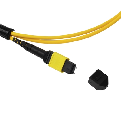 Plenum OFNP MPO Patch Cord 1m 3ft MTP-12 APC Femminile a MTP-12 APC Femminile Single Mode OS2