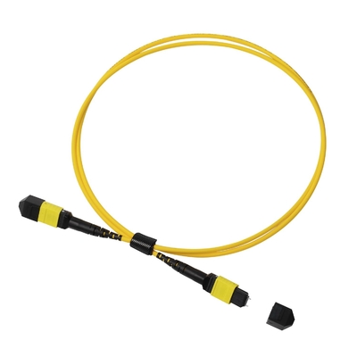 Plenum OFNP MPO Patch Cord 1m 3ft MTP-12 APC Femminile a MTP-12 APC Femminile Single Mode OS2