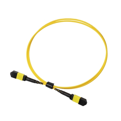 Plenum OFNP MPO Patch Cord 1m 3ft MTP-12 APC Femminile a MTP-12 APC Femminile Single Mode OS2