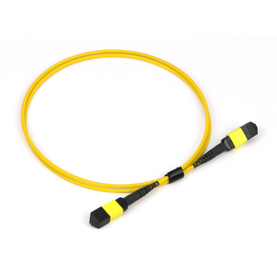 Plenum OFNP MPO Patch Cord 1m 3ft MTP-12 APC Femminile a MTP-12 APC Femminile Single Mode OS2