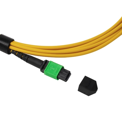 Plenum OFNP MPO Patch Cord 1m 3ft MTP-12 APC Femminile a MTP-12 APC Femminile Single Mode OS2