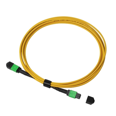 Plenum OFNP MPO Patch Cord 1m 3ft MTP-12 APC Femminile a MTP-12 APC Femminile Single Mode OS2