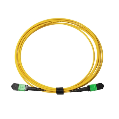 3m 10ft MTP-12 APC Femmina a MTP-12 APC Femmina Single Mode OS2 Plenum MPO Patch Cord Giallo