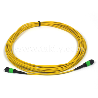 3m 10ft MTP-12 APC Femmina a MTP-12 APC Femmina Single Mode OS2 Plenum MPO Patch Cord Giallo