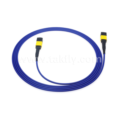 Centro dati FTTX Cavo in fibra ottica MPO Patch Cord MTP Cavo a tronco SM MM Jumper blindato