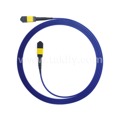 Centro dati FTTX Cavo in fibra ottica MPO Patch Cord MTP Cavo a tronco SM MM Jumper blindato