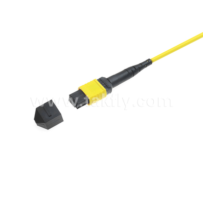 Centro dati FTTX Cavo in fibra ottica MPO Patch Cord MTP Cavo a tronco SM MM Jumper blindato