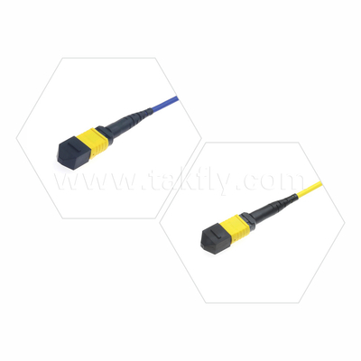 Centro dati FTTX Cavo in fibra ottica MPO Patch Cord MTP Cavo a tronco SM MM Jumper blindato