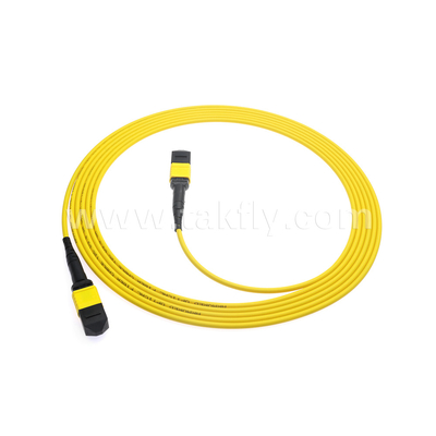 Centro dati FTTX Cavo in fibra ottica MPO Patch Cord MTP Cavo a tronco SM MM Jumper blindato