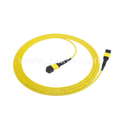 Centro dati FTTX Cavo in fibra ottica MPO Patch Cord MTP Cavo a tronco SM MM Jumper blindato