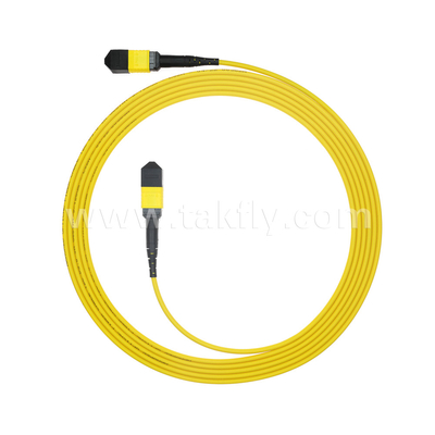 Centro dati FTTX Cavo in fibra ottica MPO Patch Cord MTP Cavo a tronco SM MM Jumper blindato