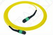 MTP-12 APC Femminile a MTP-12 APC Femminile Singlemode OS2 Plenum OFNP Tipo A MPO patch cord