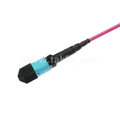 Elite Multimode OM4 50/125, Plenum OFNP Tipo B MPO patch cord 3m 10ft MTP-12 PC Femmina a MTP-12 PC Femmina