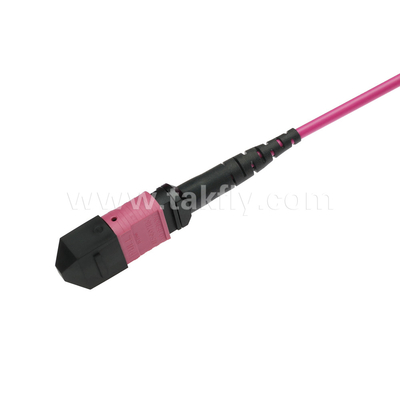 Elite Multimode OM4 50/125, Plenum OFNP Tipo B MPO Patch Cord 5m 16ft MTP-12 PC Femminile a MTP-12 PC Femminile