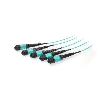 MPO/MTP Fanout Cable PLC Splitter 1x4 SM/MM Fibra ottica per data center FTTX