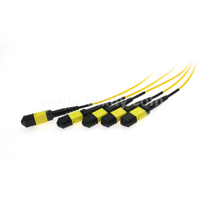 MPO/MTP Fanout Cable PLC Splitter 1x4 SM/MM Fibra ottica per data center FTTX
