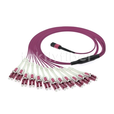 24F MTP 12x LC DX Uniboot OM4 Fiber Patch Cord per reti ad alta velocità