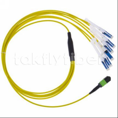Cablo di patch in fibra ottica MPO-CS resistente con perdita di inserimento ≤ 0,3 dB e diametro di fibra 50/125 per reti di telecomunicazione