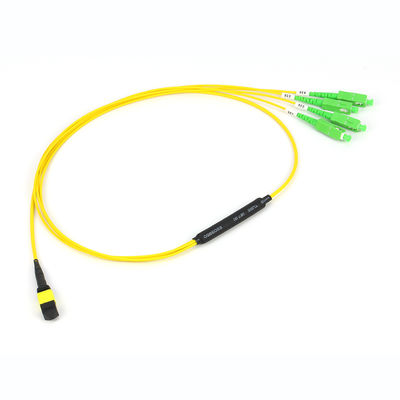 12/24/48/96/144 Core MPO/MTP Trunk Cable con modalità fibra 50/125um e PVC/LSZH Outer Sheath Fiber Optic Patchcord