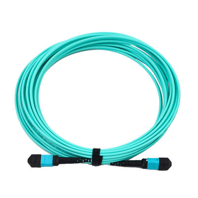 12/24/48/96/144 Core MPO/MTP Trunk Cable con modalità fibra 50/125um e PVC/LSZH Outer Sheath Fiber Optic Patchcord