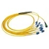 MPO MTP OM4 Cablo in fibra ottica a bassa perdita per data center