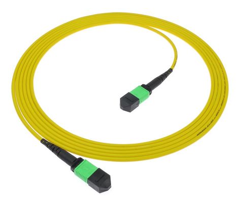 MPO/MTP Patch Cord PC e APC PVC/LSZH SM/MM