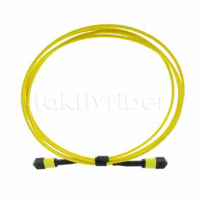 Cavo trunk MTP® MPO da 5M, MTP®-12 APC (Femmina) a MTP®-12 APC (Femmina), 12 Fibre, OS2 Plenum (OFNP), 0.35dB Max