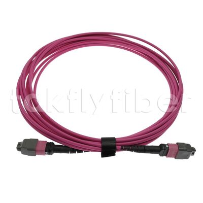 CPR B2ca Multimode OM4 MPO a MPO Fiber Trunk Cable, MTP-12 OM4 da femmina a femmina, tipo A, 5m