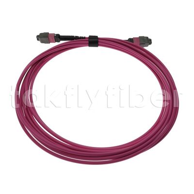 CPR B2ca Multimode OM4 MPO a MPO Fiber Trunk Cable, MTP-12 OM4 da femmina a femmina, tipo A, 5m