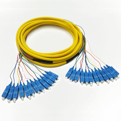 SC-LC 12F Patchcord in fibra ottica con bassa perdita di inserimento, alta perdita di riflessione e lunghezza personalizzata