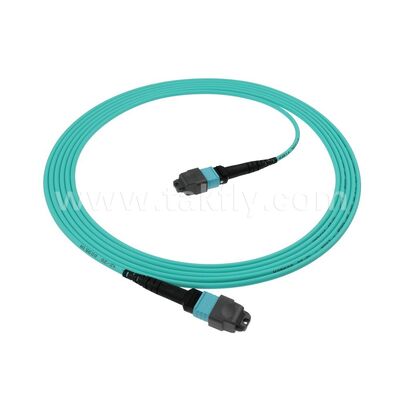 8F 12F 16F 24F MPO MTP Maschio Femmina OM3 OM4 OM5 Multimode Multimode Fibra Ottica Patchcord / Fibra Ottica Patch Cable / Fibra Ottica Breakout Cable / Fibra Ottica Trunk Cable per Data Center ad alta densità