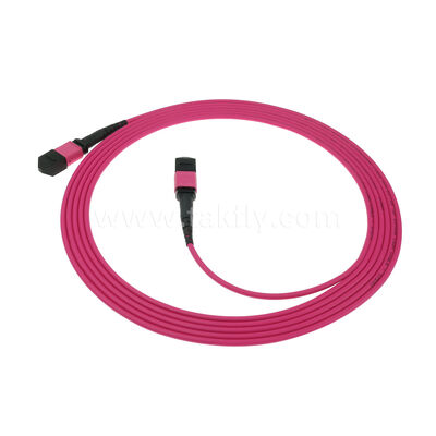 Cavo patchcord in fibra ottica MM Multimode OM4 MPO MTP Maschio Femmina 8F 12F 16F 24F / Cavo patch in fibra ottica / Cavo breakout ottico / Cavo trunk in fibra ottica con guaina esterna PVC LSZH OFNR OFNP