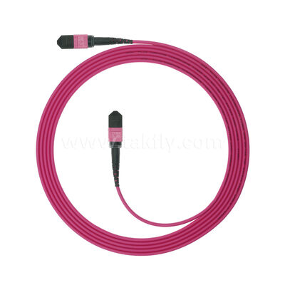 Elite MPO MTP Maschio Femminile 8F 12F 16F 24F MM Multimode OM4 Fibra ottica Patchcord / Fibra ottica Patch Cable / Fibra ottica Breakout Cable / Fibra ottica Cable Trunk con PVC LSZH OFNR OFNP Giacca esterna