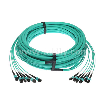 6x12F MPO MTP Maschio femmina 72 fibre MM Multimodo OM3 OM4 Fibra ottica Patchcord / Fibra ottica Patch Cable / Fibra ottica Breakout Cable / Fibra ottica Fibra ottica Fanout Cable