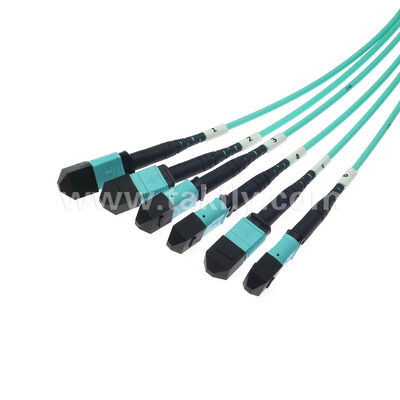 6x12F MPO MTP Maschio femmina 72 fibre MM Multimodo OM3 OM4 Fibra ottica Patchcord / Fibra ottica Patch Cable / Fibra ottica Breakout Cable / Fibra ottica Fibra ottica Fanout Cable