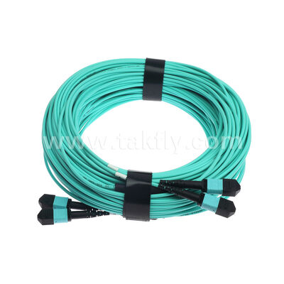 Cable di rottura ottica a 24 fibre 2x12F MPO MTP- 2x12F MPO MTP Maschio Femmina OM3 OM4 Multimode Fibra Ottica Patchcord / Fibra Ottica Patch Cable / Fibra Ottica Trunk Cable / Fibra Ottica Fanout Cable