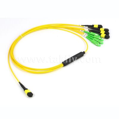 Fibra ottica MPO-CS Breakout Fibra ottica Patch Cord per Data Center
