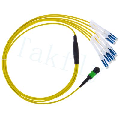 MPO a CS Breakout Patch Cord    Soluzione ad alta densità per interconnessioni di data center 400G/800G