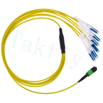 MPO a CS Breakout Patch Cord    Soluzione ad alta densità per interconnessioni di data center 400G/800G