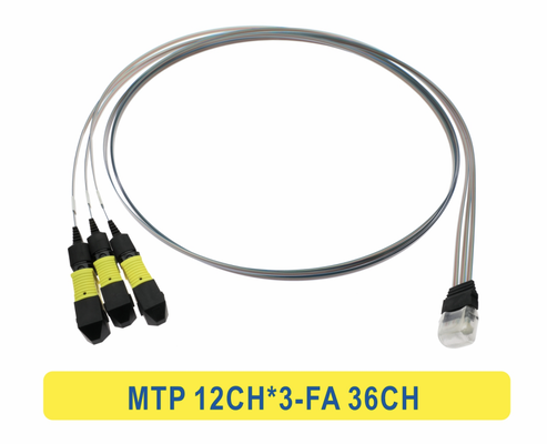 3*12F MTP a 36CH FA Fiber Array Fiber Optic Patchcord Cable