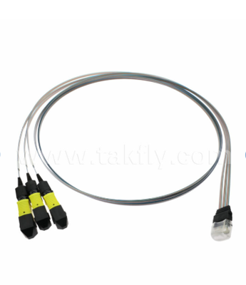 MTP 12CH×3 a 36 canale Fiber Array Assembly 3×12CH MTP connettori a 36CH V-Groove FAU, bassa perdita di inserimento, per 1.6T trasmettitori ottici e optica co-confezionata (CPO)