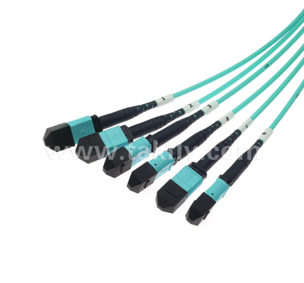 72-Core MPO/PC Trunk Patch Cord OM3 Multimode, 6×MPO Input to 6×MPO Output, Low Insertion Loss, per applicazioni di Data Center ad alta densità e 40G/100G SR4/SR10