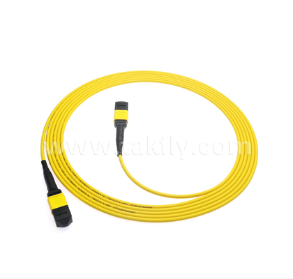 Cordone di patch MPO/MTP corazzato
