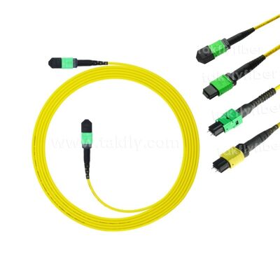 MPO MTP Patchcord SM Trunk Cable 12F Fibra ottica per data center AI Telecom FTTX Cabling