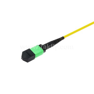MPO MTP Patchcord SM Trunk Cable 12F Fibra ottica per data center AI Telecom FTTX Cabling