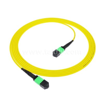 MPO MTP Patchcord SM Trunk Cable 12F Fibra ottica per data center AI Telecom FTTX Cabling