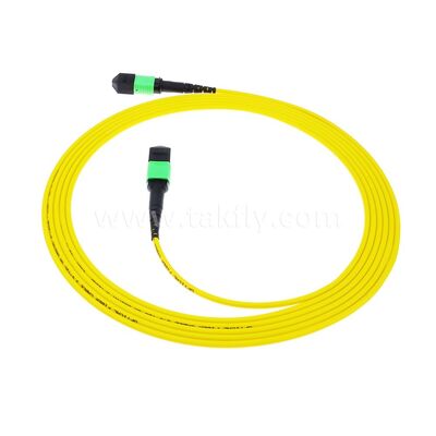 MPO MTP Patchcord SM Trunk Cable 12F Fibra ottica per data center AI Telecom FTTX Cabling