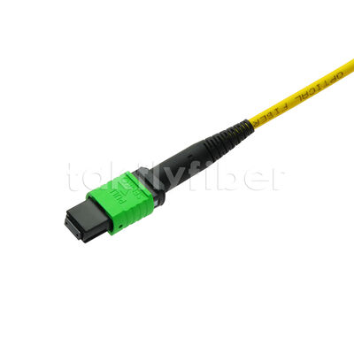 MPO MTP Patchcord SM Trunk Cable 12F Fibra ottica per data center AI Telecom FTTX Cabling